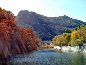 奥门天天开奖免费资料，山东滨化